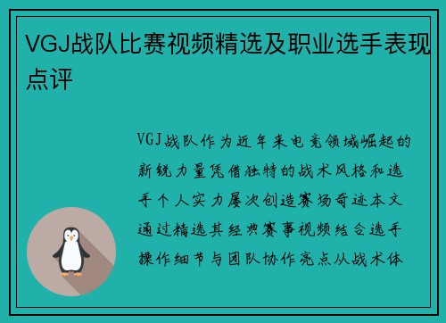 VGJ战队比赛视频精选及职业选手表现点评